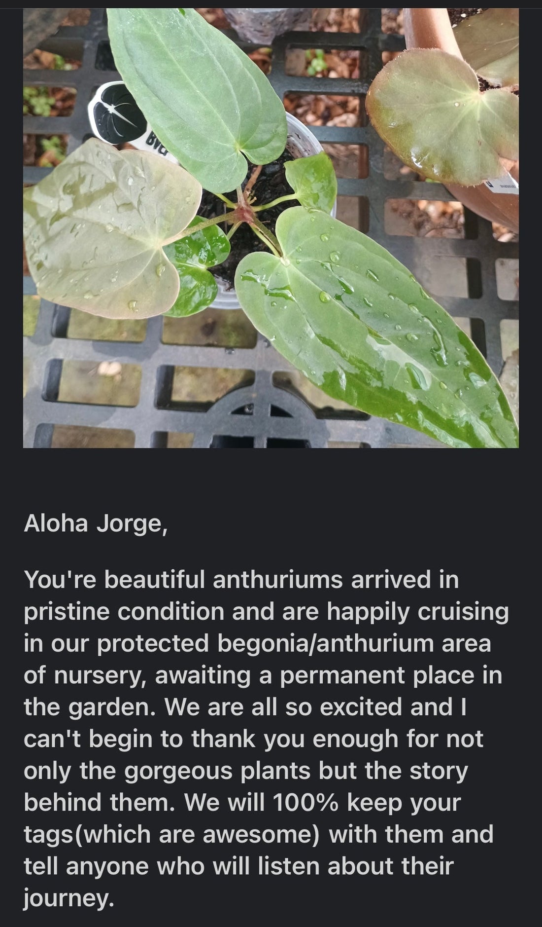 Princeville Botanical Garden
