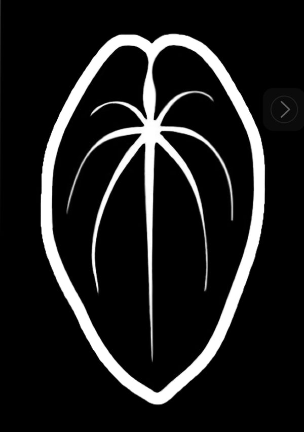 The Logo