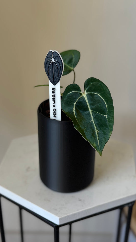 Self watering larger tall pot