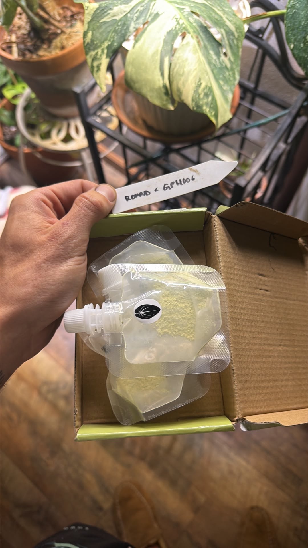 Pro Pest Mix 3 packs comes to $25 with shipping