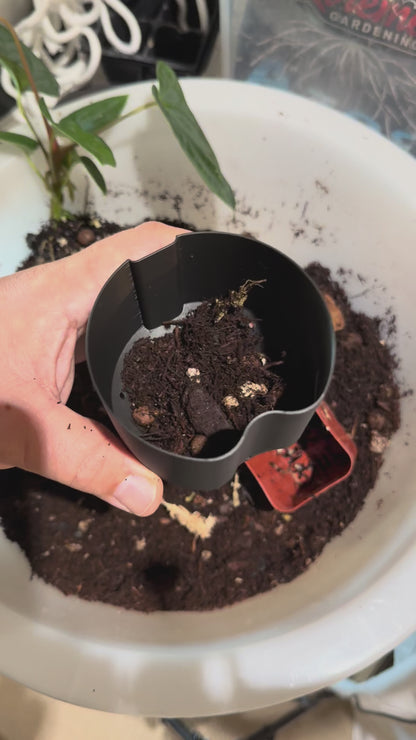Self watering larger tall pot